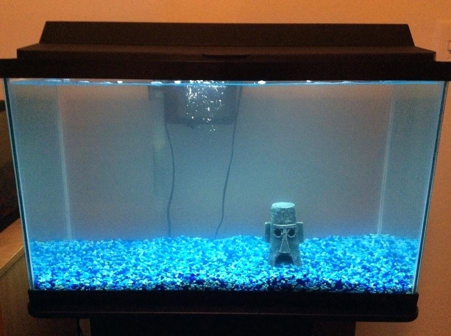Cloudy Fish Tank Causes And How To Fix It For Crystal Clear Aquarium,Crochet Elephant Applique