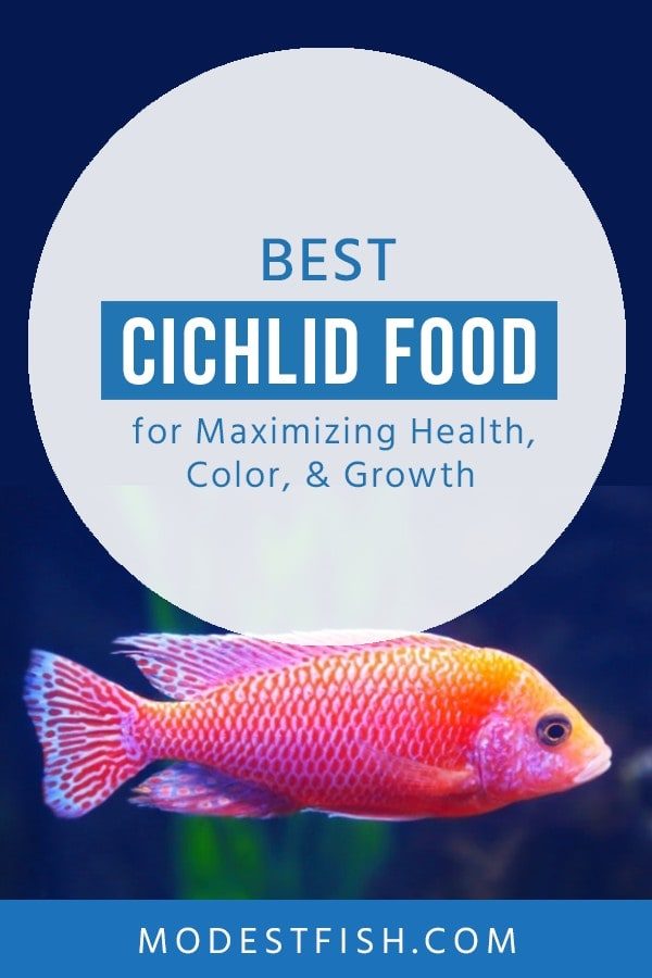 Cichlid Growth Chart